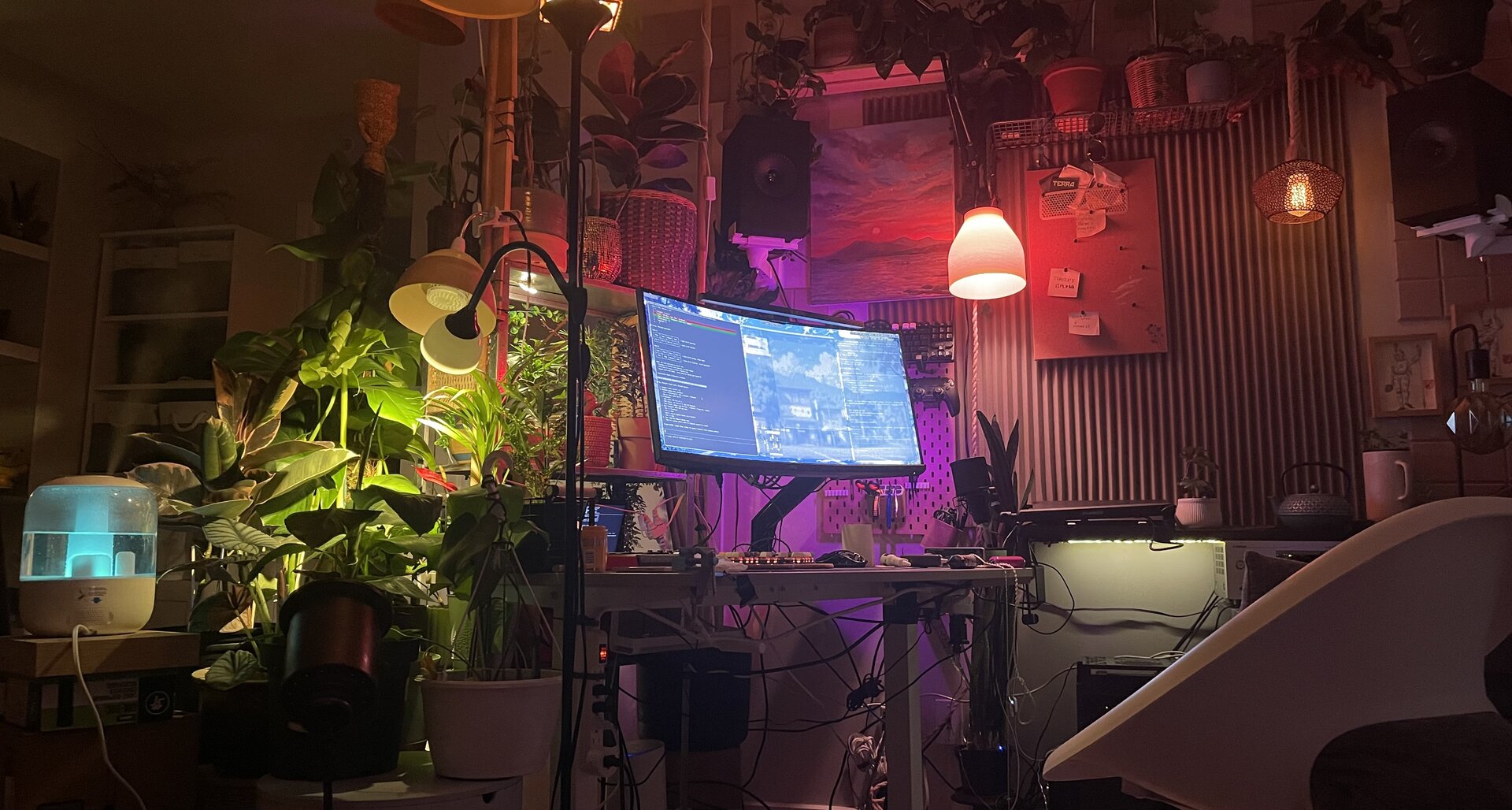 fighting kube in jungles